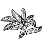 ICONO PASTA